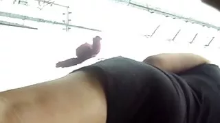 粉紅色的頭髮甜心甜甜地舔雞巴