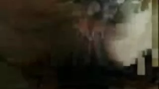 沒有從她的腿脫下她的鞋子的俏麗的婦女激動地愛撫她的貓